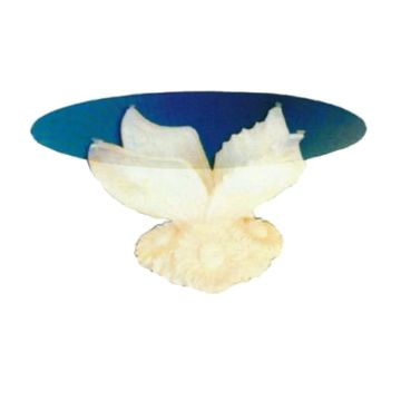 Glastisch mit Blumenmotiv vergrößert
