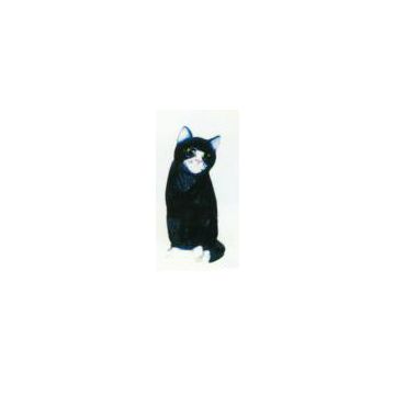 schwarze Katze mit weißen Pfötchen lebensgroß