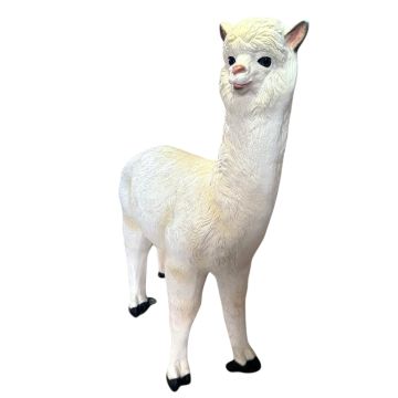 Alpaca lebensgroß