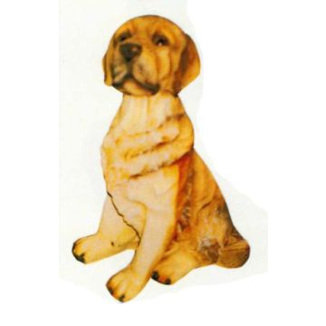 Labrador sitzend lebensgroß