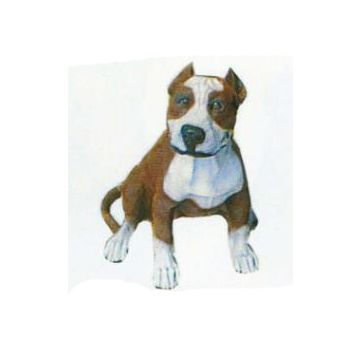 Pitbull Kampfhund braun weiß lebensgroß