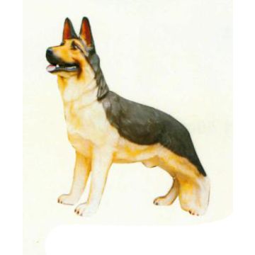 Deutscher Schäferhund stehend lebensgroß