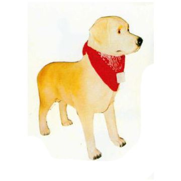Labrador stehend mit Halstuch lebensgroß