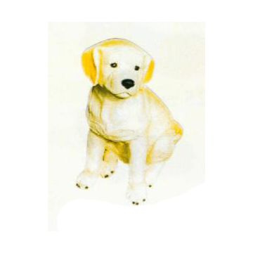 Golden Retriever Welpen sitzend lebensgroß