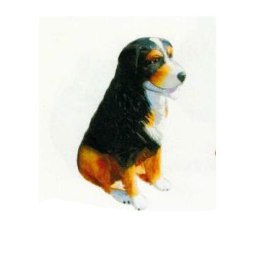 Berner Sennenhund sitzend lebensgroß