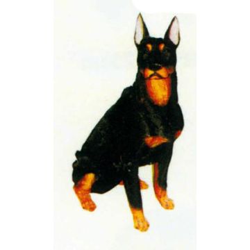 Beauceron sitzend lebensgroß