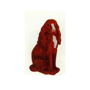 Cocker Spaniel sitzend lebensgroß