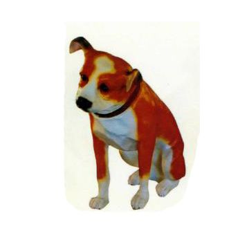 American Stafford Terrier sitzend lebensgroß