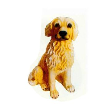 Golden Retriever Welpen sitzend lebensgroß