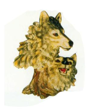 Wolfsköpfe lebensgroß