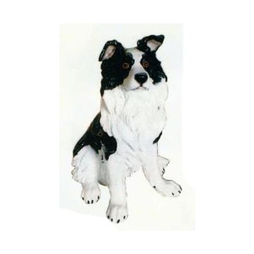 Border Collie sitzend lebensgroß