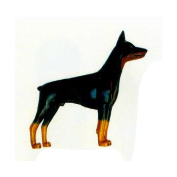 Deutscher Pinscher lebensgroß