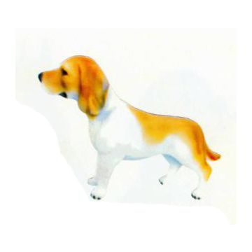 Beagle braun weiß lebensgroß