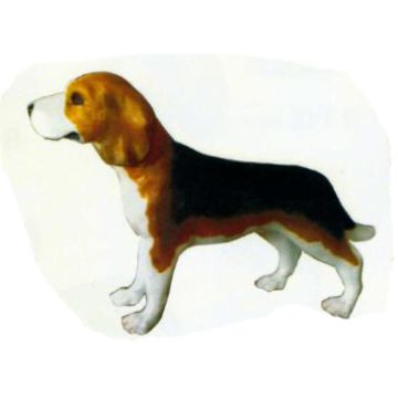 Beagle stehend lebensgroß