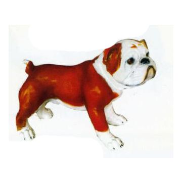 Englische Bulldogge lebensgroß