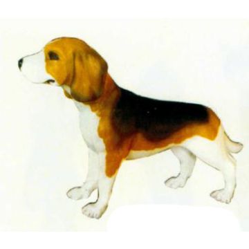 Beagle gefleckt lebensgroß