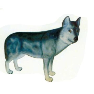 Husky stehend lebensgroß