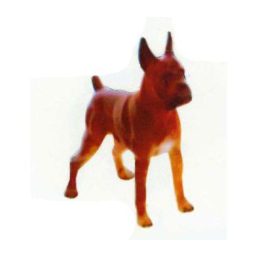 Boxer Kampfhund stehend lebensgroß