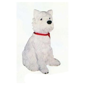 West Highland Terrier sitzend lebensgroß