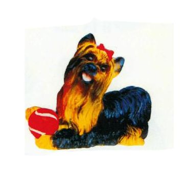 Yorkshire Terrier liegend mit Ball lebensgroß