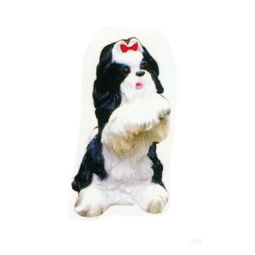 Shih Tzu macht Männchen lebensgroß