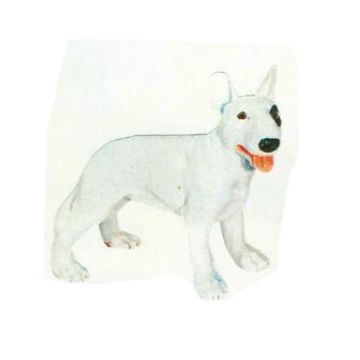Bullterrier Kampfhund lebensgroß