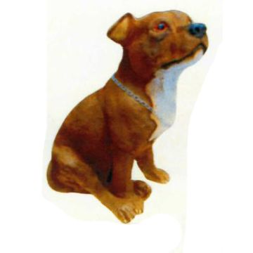Amerikanischer Pitbull Terrier Kampfhund sitzend lebensgroß