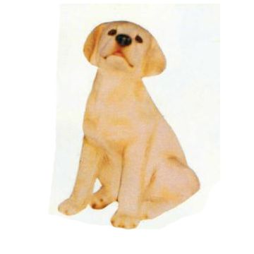 Labrador sitzend lebensgroß