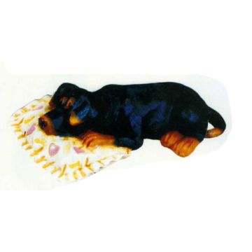 Rottweiler Welpen liegend auf Kissen lebensgroß