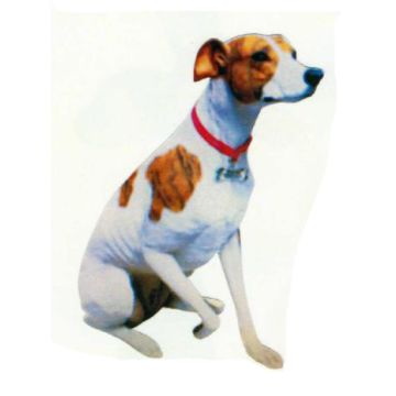 Pointer Hund sitzend lebensgroß