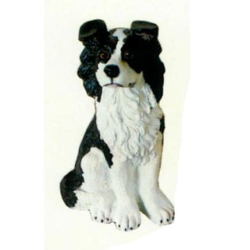 Border Collie sitzend lebensgroß