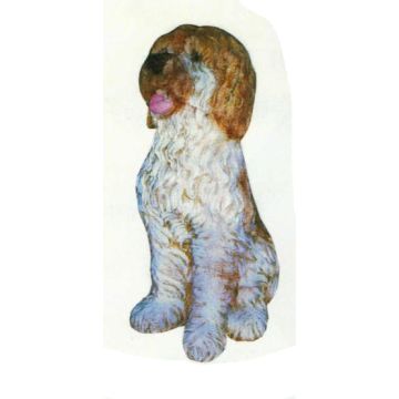 Lhasa Apso sitzend lebensgroß