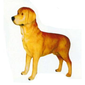 Labrador lebensgroß