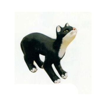 Katze macht Katzenbuckel lebensgroß