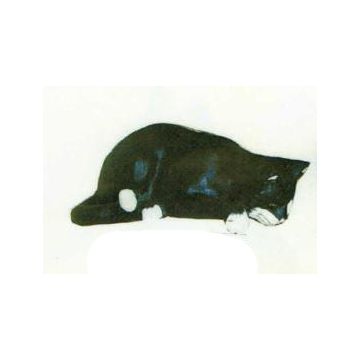 Katze schlafend lebensgroß