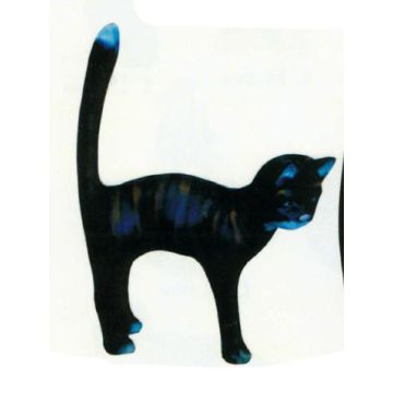 Katze macht Buckel schwarz groß lebensgroß