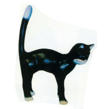 Katze macht Buckel schwarz weiß groß lebensgroß
