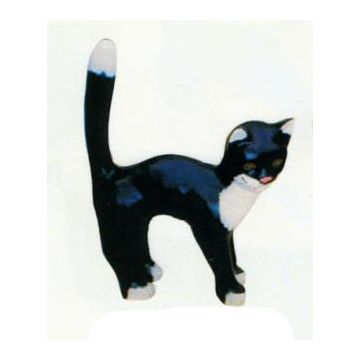Katze mit Buckel schwarz weiß lebensgroß