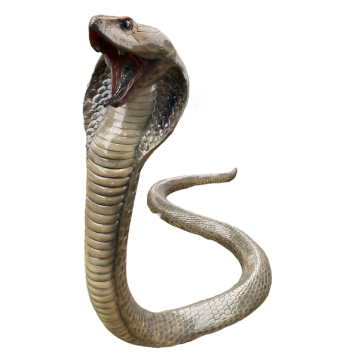 Cobra XXL übergroß XXL