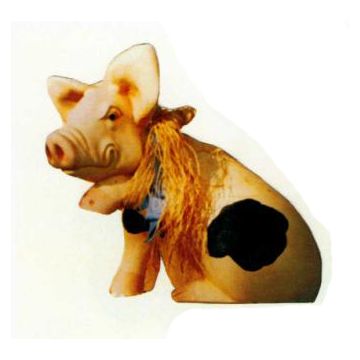 geflecktes Schweinchen hebt Pfote lebensgroß