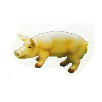 kleines Ferkel verkleinert
