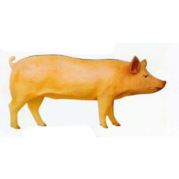 stehendes Schwein lebensgroß