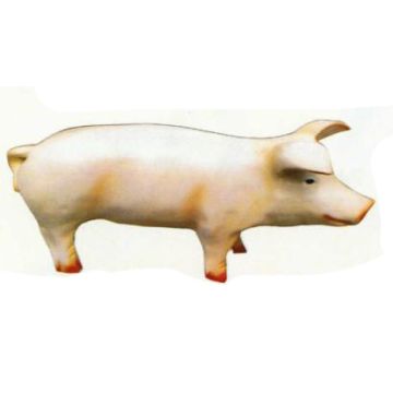 Ferkel stehend verkleinert