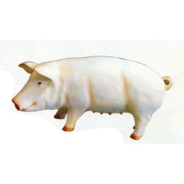 Schwein Sau stehend lebensgroß