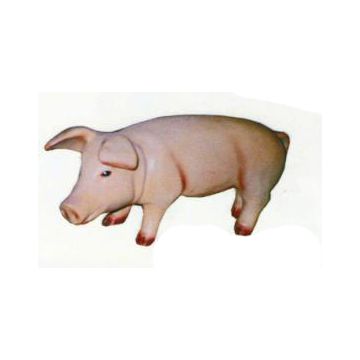 kleines Ferkel verkleinert