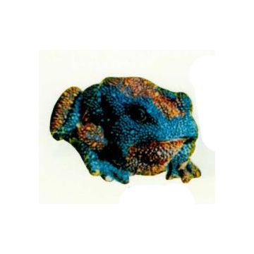 giftiger Frosch verkleinert