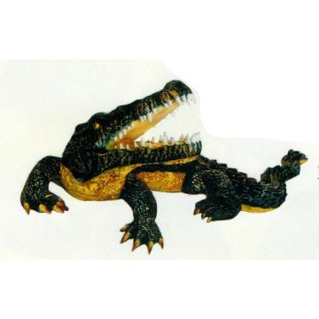 Alligator mit offenem Maul lebensgroß