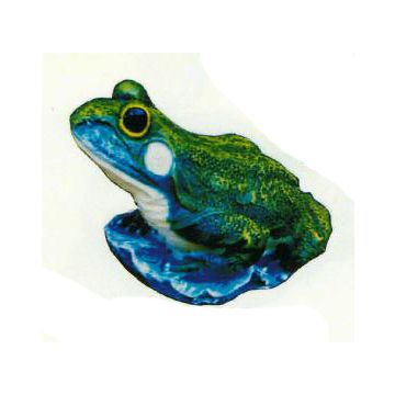 Wasserfrosch verkleinert