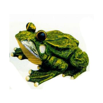 Frosch mit großen Glubschaugen verkleinert