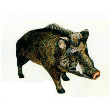 Wildschwein Keiler stehend lebensgroß